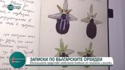 Необичайна изложба в Бургас: „Записки по българските орхидеи”