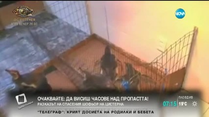 Пингвини бяха спасени от смърт в тропическа Бразилия