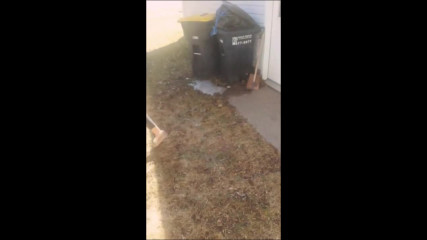 Cinnamon challenge with my girl