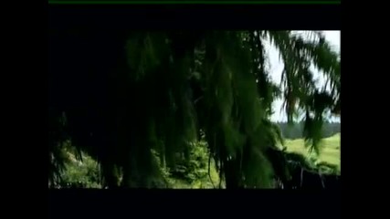 Виевска фолк група - Везала Рада