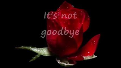 Laura Pausini - It's Not Goodbye lyrics