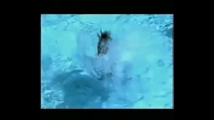 Garcia - kalimba de luna