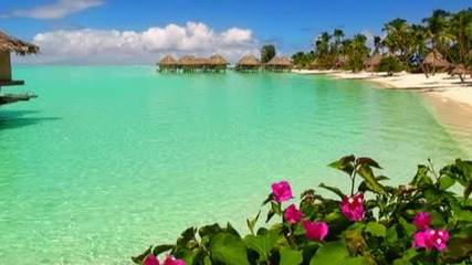 Bora Bora - Wonderful Place