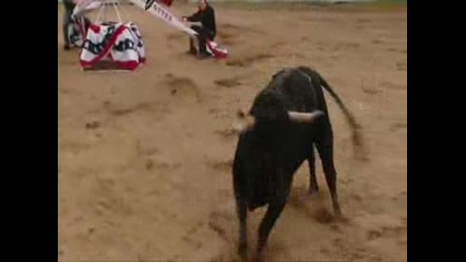 Jackass