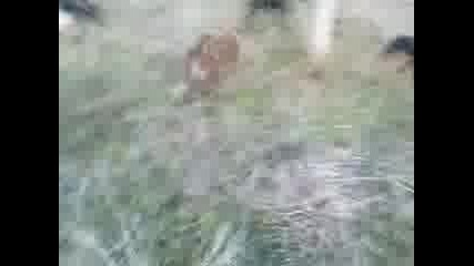 Mov00359