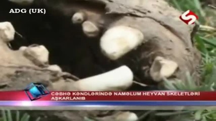 Мистерия: Скелет на неизвестно животно в Азърбайджан