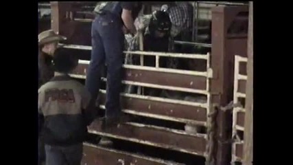 bull riding 3 