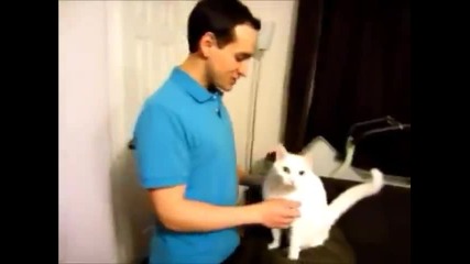 Една прегръдка