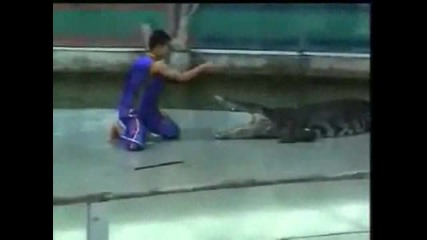 Топ 5 идиоти на годината