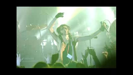 Majke - Mrsavi Pas 