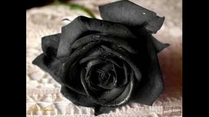 Roxette quot Cr Sh Boom Bang