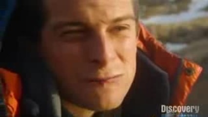 Bear Grylls - Cold gloop 