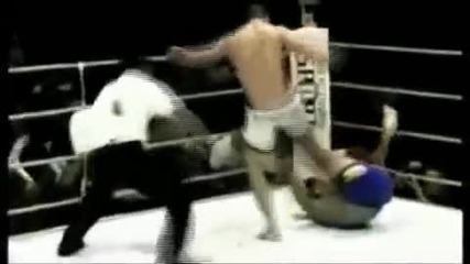 Best Mma Knockouts
