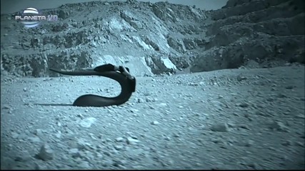 Емилия - Ти си луд [hd]