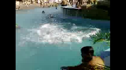 De4ky Se Davi.3gp