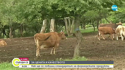 Видео - (2020-06-06 10:07:55)