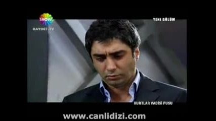 Flash Video 1 