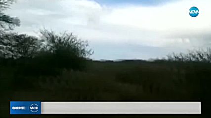 Самолет се разби в Мексико, няма жертви