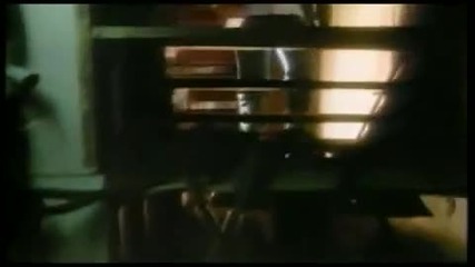 Survivor _ Eye Of The Tiger (ojo De Tigre)