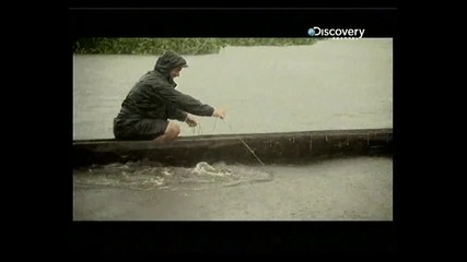 Discovery channel - River monsters (congo killer) bg audio - 5 