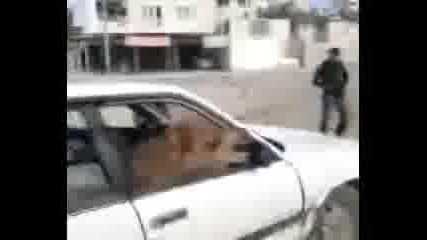 2camels1car - The New Brutal Metal Hit 