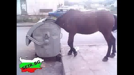 Made In Bg Част 23 