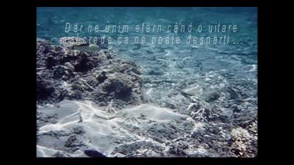 Enchantment Chris Spheeris George Skarouli