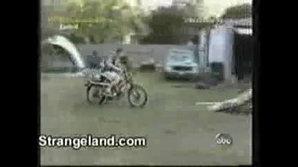 Watts Zap