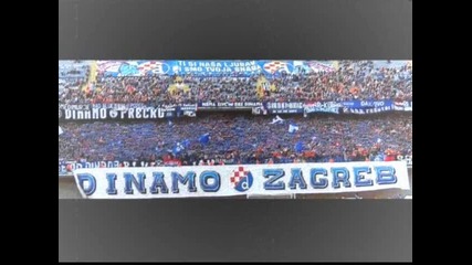Dinamo Zagreb - Ja sbog Dinamo 