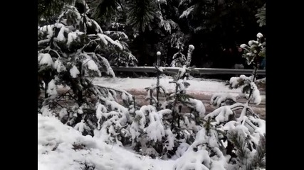 рали в боровец
