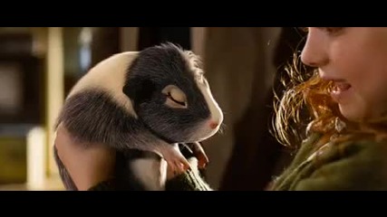G Force Pet Store 