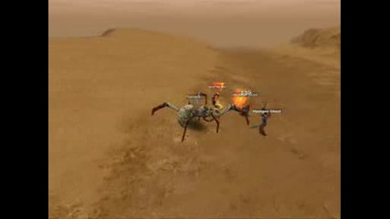 Silkroad Online Big Spider Eat mobs