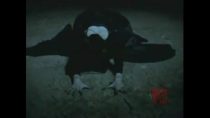 Frozen - Madonna Videoclip Hq