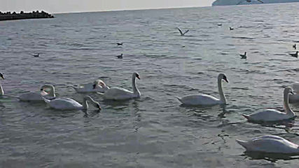 Varna - Black Sea Coast today 025