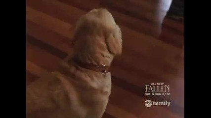 Fallen , , Паднали Ангели, , 