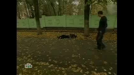 Опит за преврат в Кабардино- Балкария Налчик