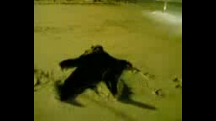 Полицай се въргаля в снега - Забавата не спира