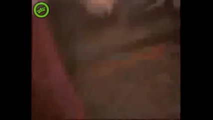 Ние обичаме Русия