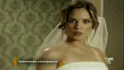 Pasion Prohibida Promo 8