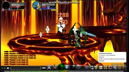 Aqw Krokodila Vs Amia The Cult Leader
