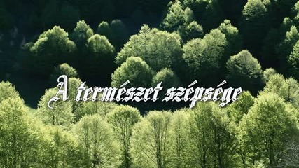 A termeszet szepsege. Giovanni Marradi - The Colours of Musik