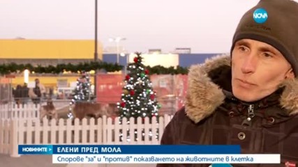 ЕЛЕНИ ПРЕД МОЛА: Спорове "за" и "против" показването на животните в клетка
