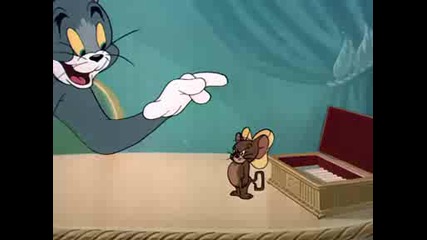 Tom & Jerry - Casanova Cat