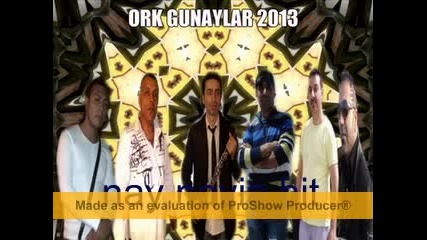 ork gunaylar 2013 nay