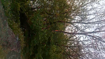Vid_20200423_194547