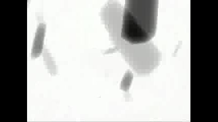 Naruto Demon Amv Animal I Have Become