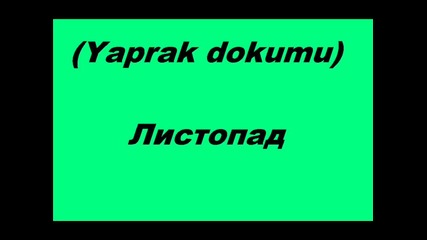 Кой в любимият ви сериал ? 