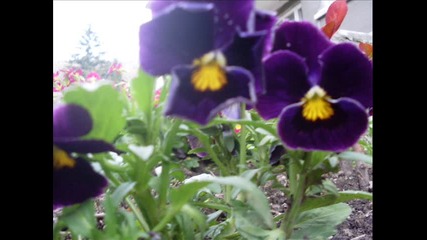 My pics 