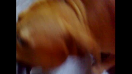23052009080