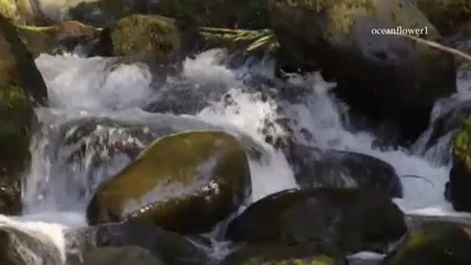 Water - Brian Crain